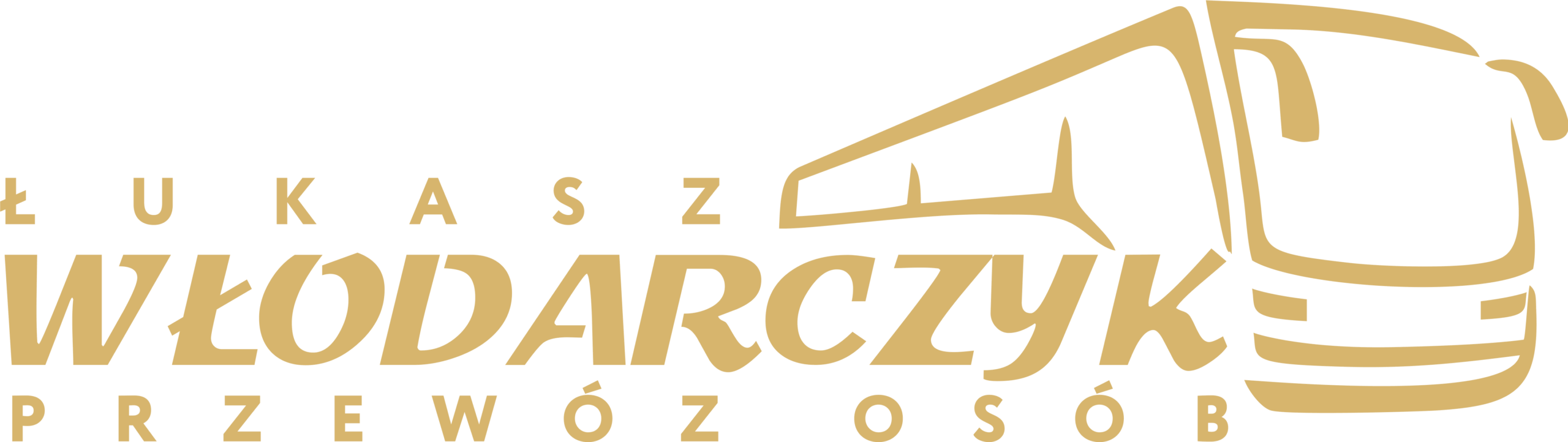 Przewóz Osób Włodarczyk